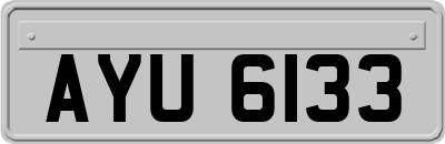 AYU6133