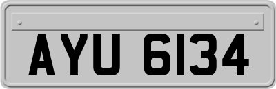 AYU6134
