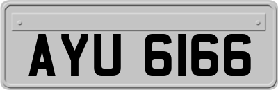 AYU6166