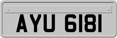 AYU6181