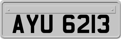 AYU6213