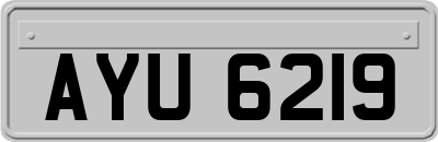 AYU6219