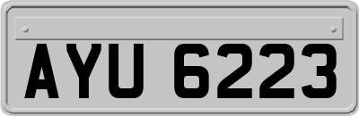 AYU6223