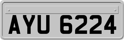 AYU6224