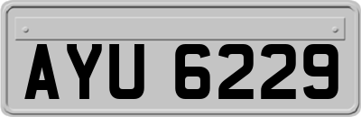 AYU6229