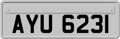 AYU6231