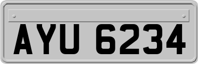 AYU6234