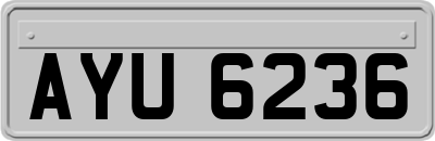 AYU6236