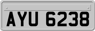 AYU6238