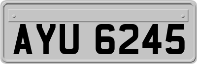 AYU6245