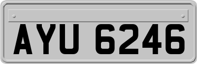 AYU6246