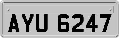 AYU6247