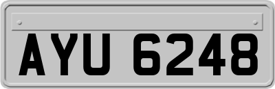 AYU6248