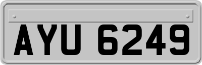 AYU6249