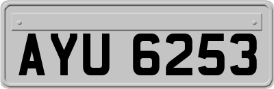 AYU6253