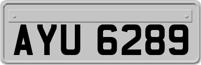 AYU6289