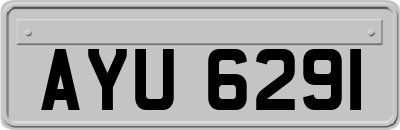 AYU6291