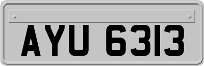 AYU6313