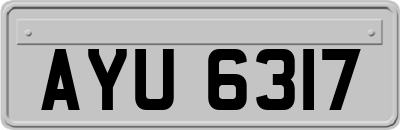 AYU6317