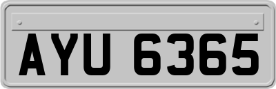 AYU6365