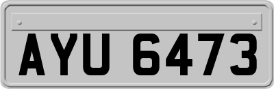 AYU6473