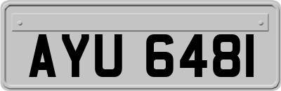 AYU6481