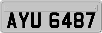 AYU6487