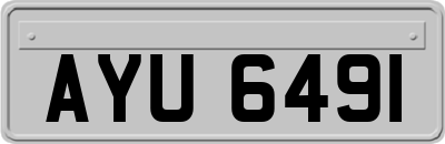 AYU6491