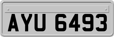 AYU6493