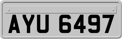 AYU6497
