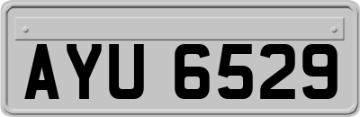 AYU6529