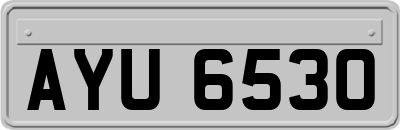 AYU6530