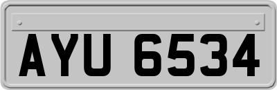 AYU6534
