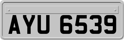 AYU6539