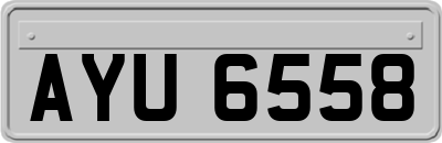 AYU6558
