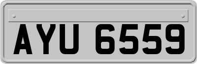 AYU6559