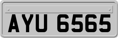 AYU6565
