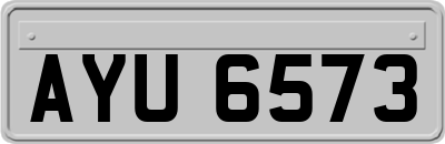 AYU6573