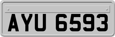 AYU6593