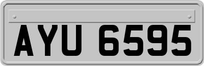 AYU6595