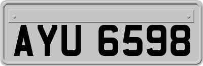 AYU6598