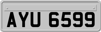AYU6599