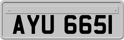 AYU6651