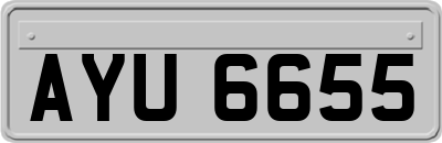 AYU6655