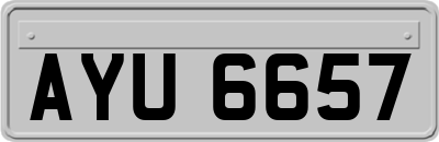 AYU6657