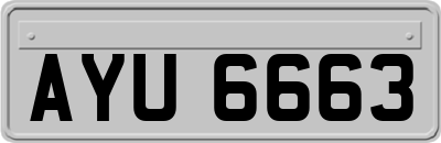 AYU6663