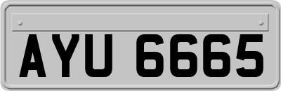 AYU6665