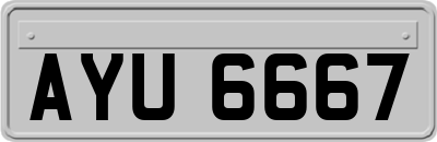 AYU6667