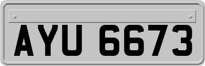 AYU6673