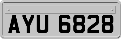 AYU6828